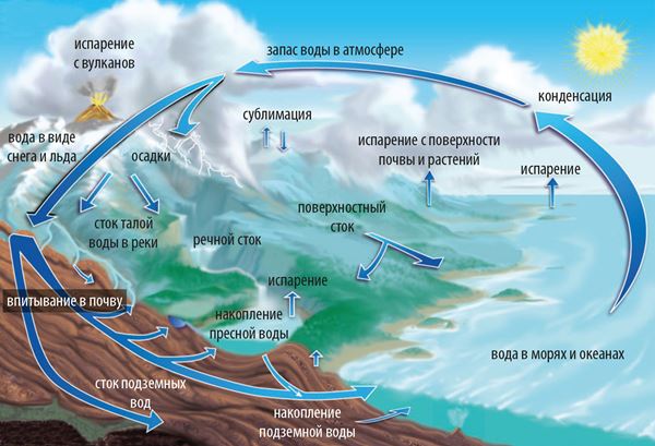 Какими буквами на схеме круговорота воды отмечены испарение перенос влаги осадки реки подземные воды