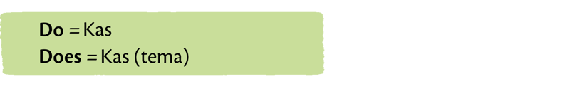 Auxiliary verbs in the Present Simple