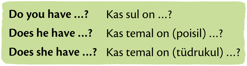 Questions with the verb “have” in the Present Simple