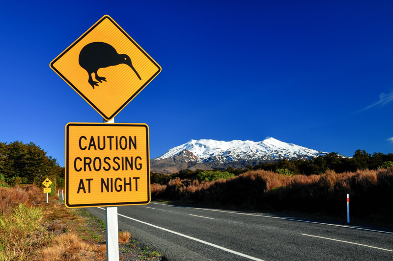 A kiwi road sign and Mount Ruapehu, New Zealand