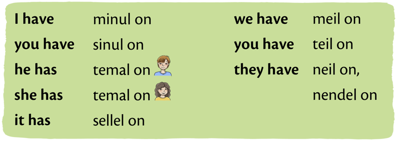 Verb “have” in the Present Simple