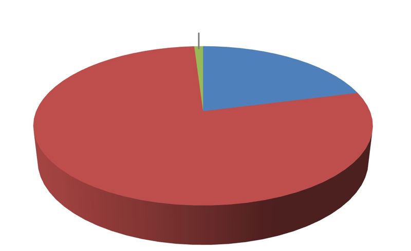 Sektordiagramm. Kõige suurem osa on punane, järgmine sinine ja kõige väiksem roheline.