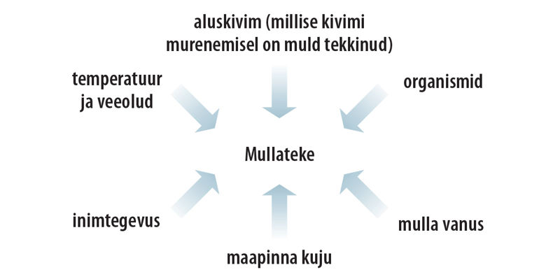 Skeem nimetab mulleteket mõjutavaid tegureid: aluskivim ehk millise kivimi murenemisel on muld tekkinud; organismid; mulla vanus; maapinna kuju; inimtegevus; temperatuur ja veeolud.