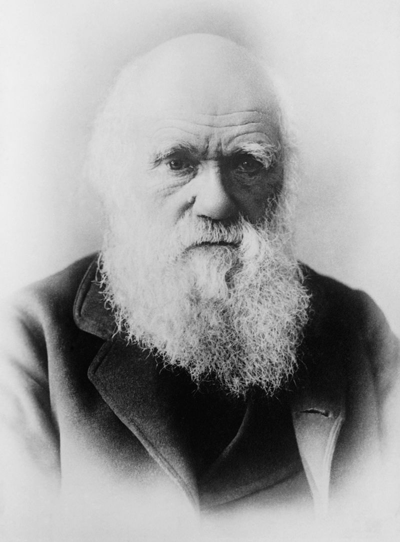 Charles Darwini portree vanas eas