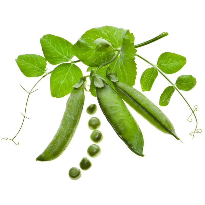 Hernekaun seemnetega.