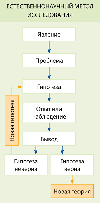 Мир вокруг нас: экологическое образование в школах разных стран